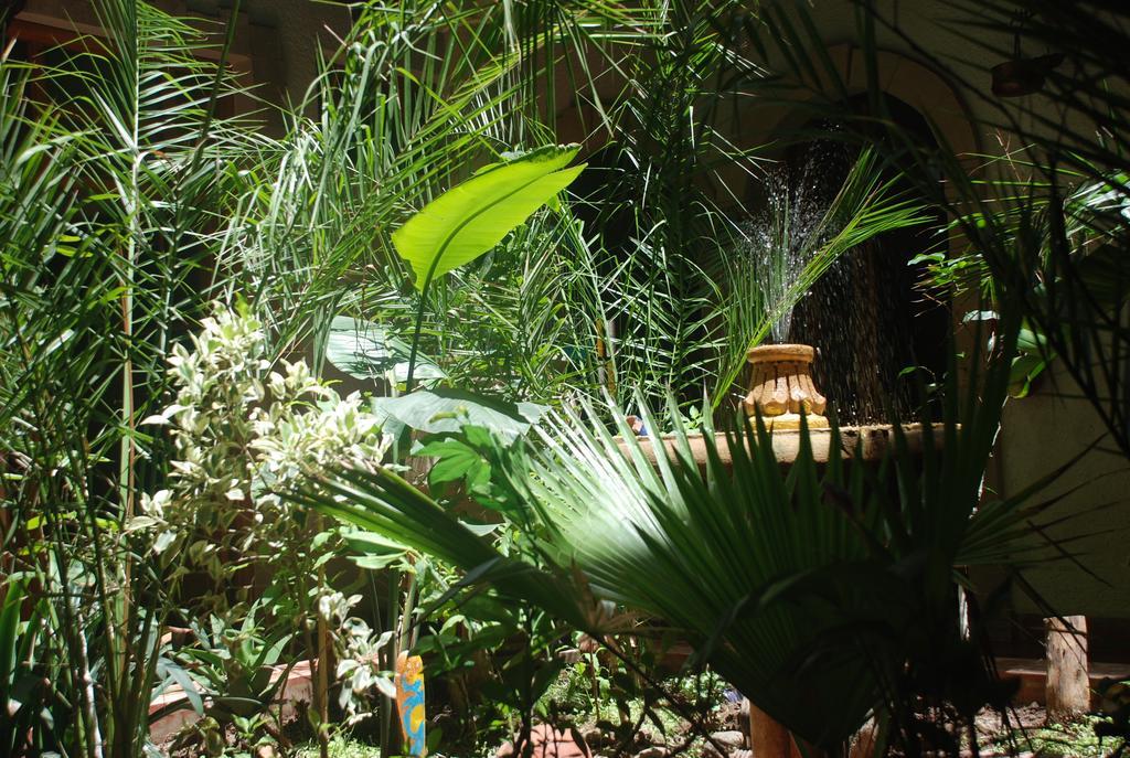 Riad Arambys เอสเซาอิรา ภายนอก รูปภาพ