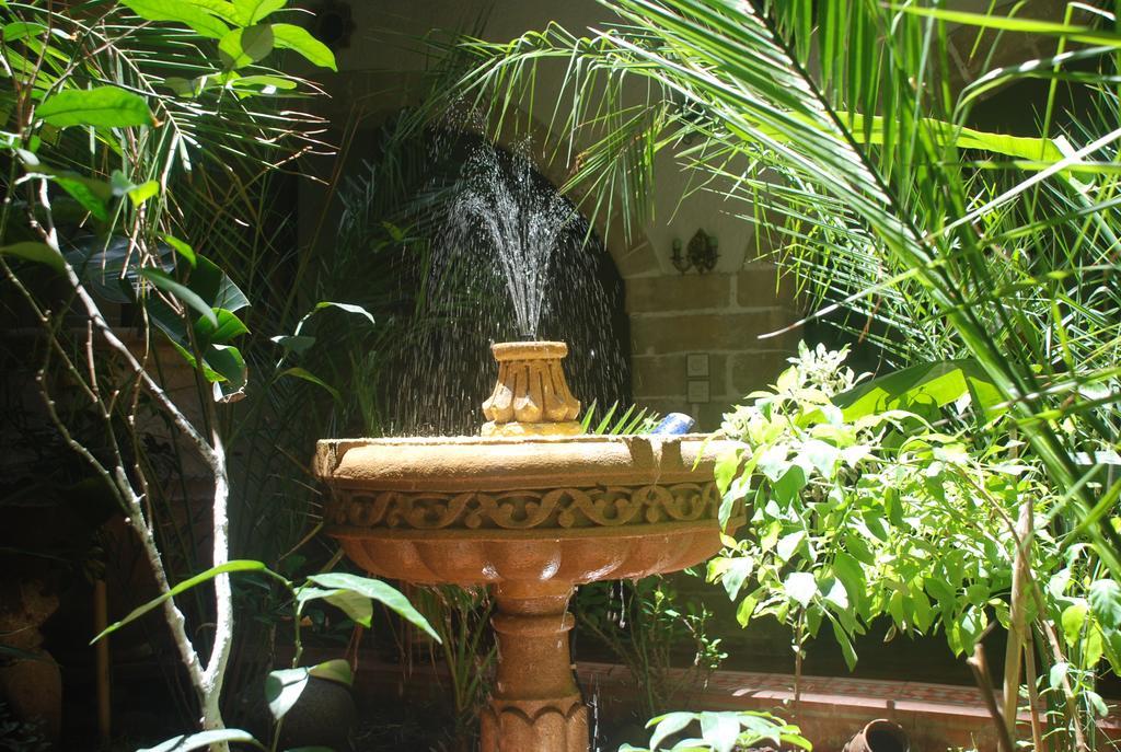 Riad Arambys เอสเซาอิรา ภายนอก รูปภาพ